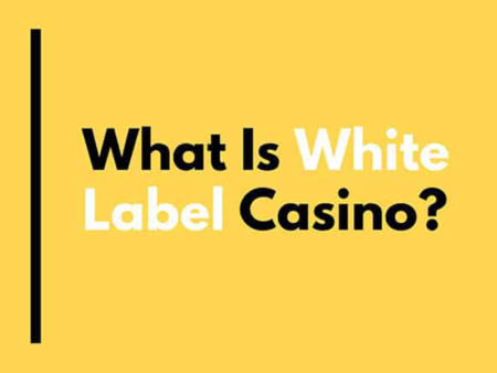 How to Open an Online Casino? The White Label Solution
