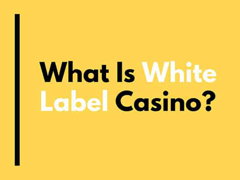 How to Open an Online Casino? The White Label Solution - Well Known Slots